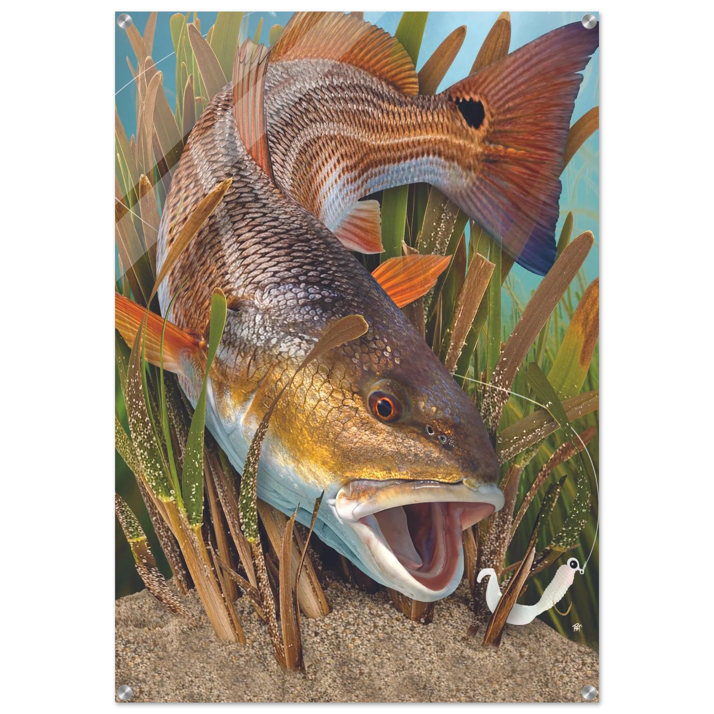 c2ce59c7-cecb-4d93-b42d-1f0e15269d22