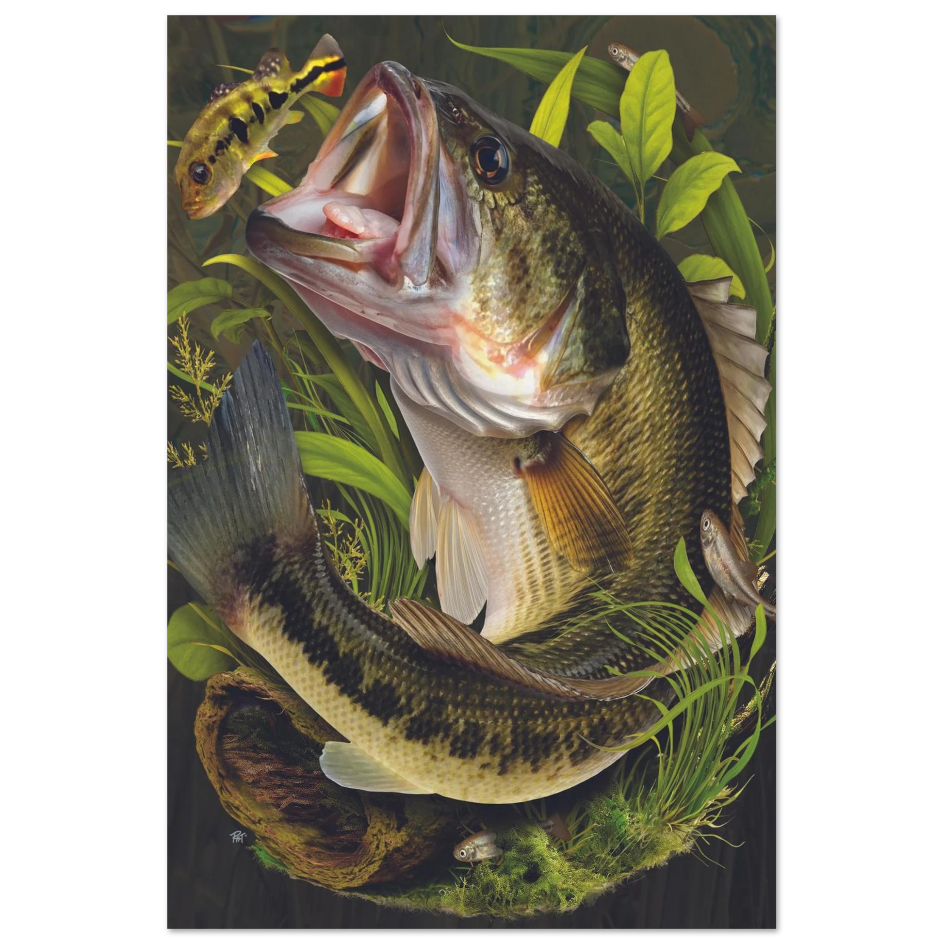 ce5f5279-cc9d-4c80-8aa9-cb0ac651b5e4