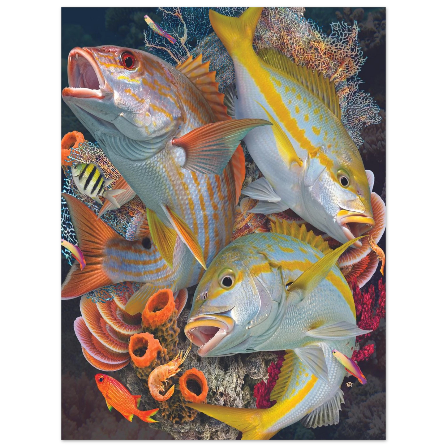 ceeb2e0a-c4e4-4a6f-a19a-a49a34cb5f6c