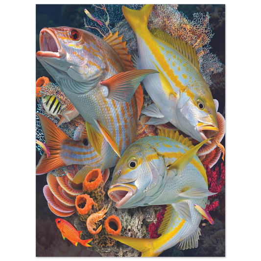 ceeb2e0a-c4e4-4a6f-a19a-a49a34cb5f6c