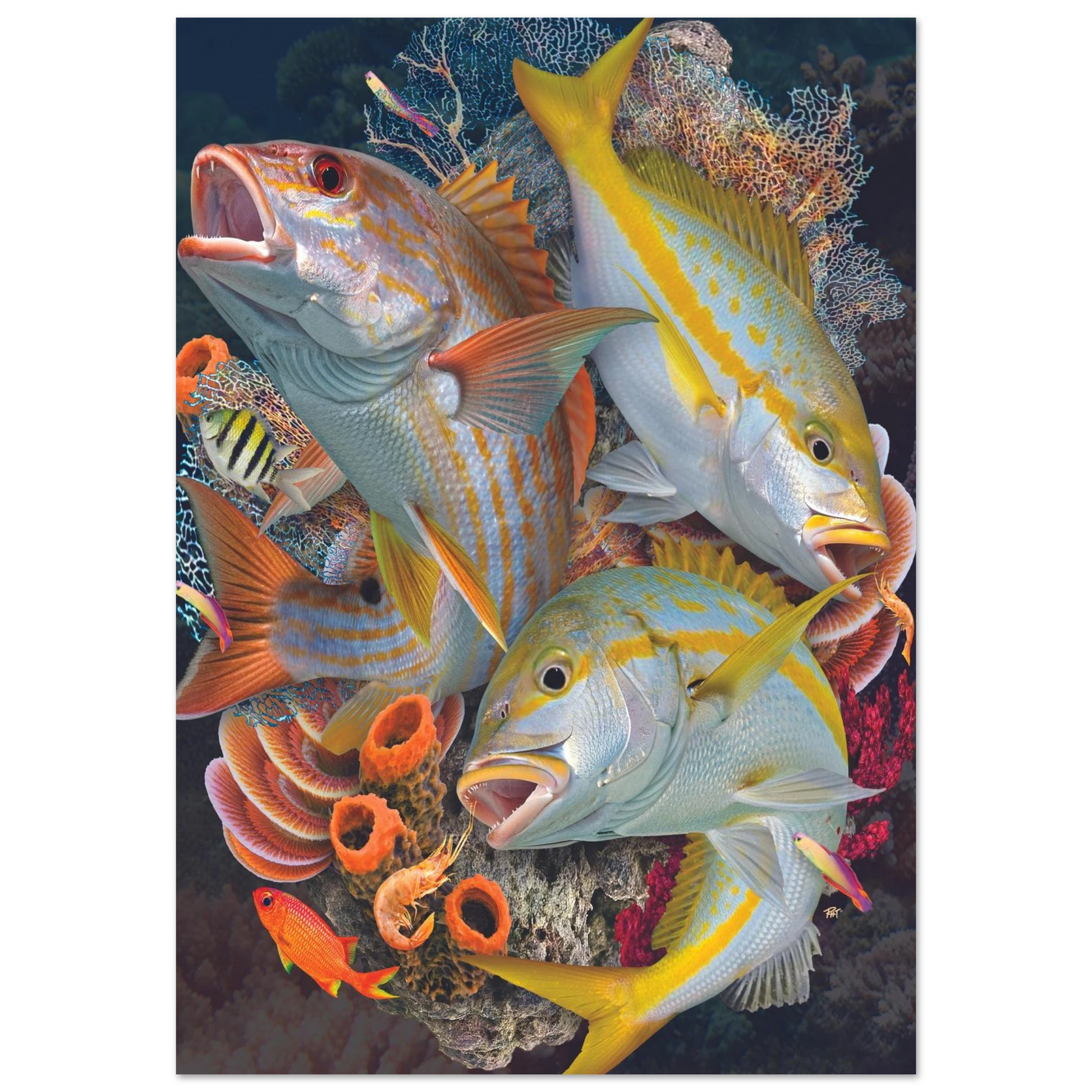 cf207a66-6faa-4c62-bd38-c25e758da10f