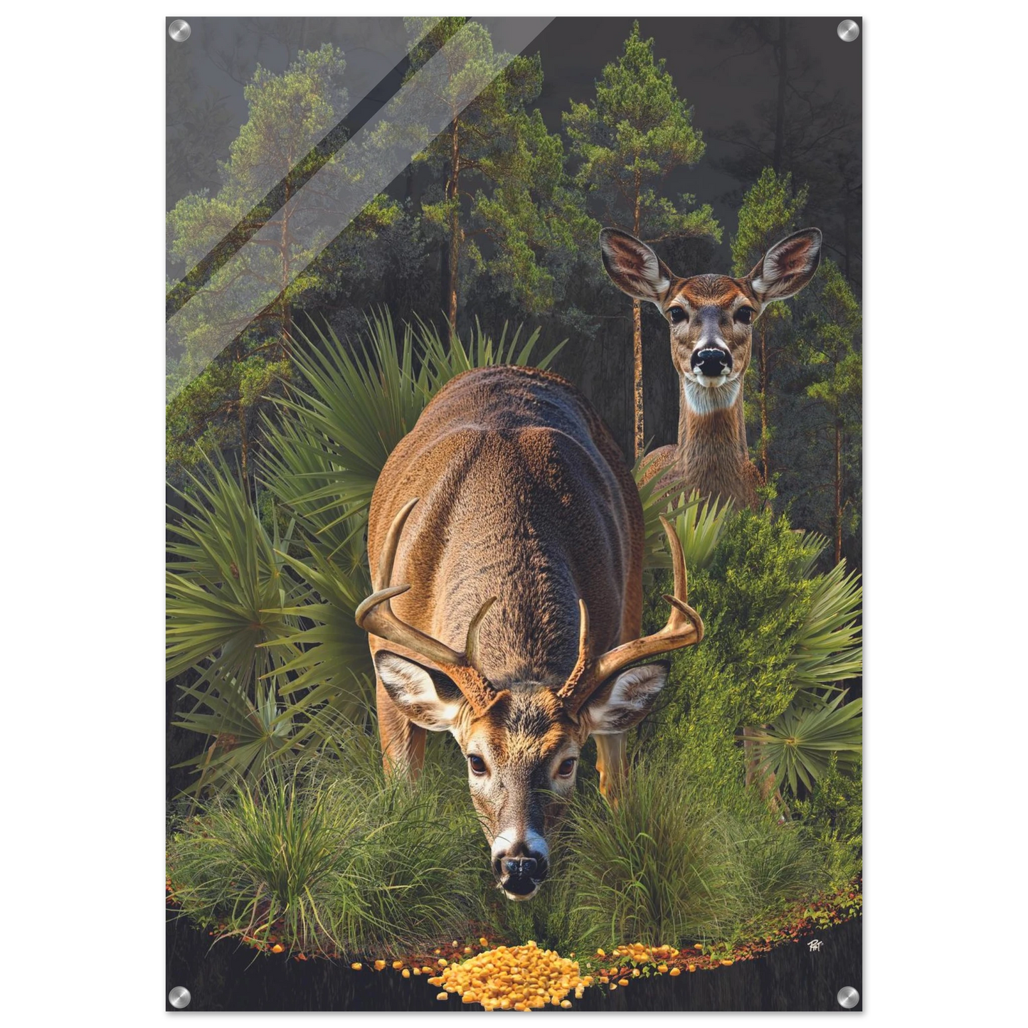 cff644ec-7e03-4f4b-a9fa-97d4a2828230