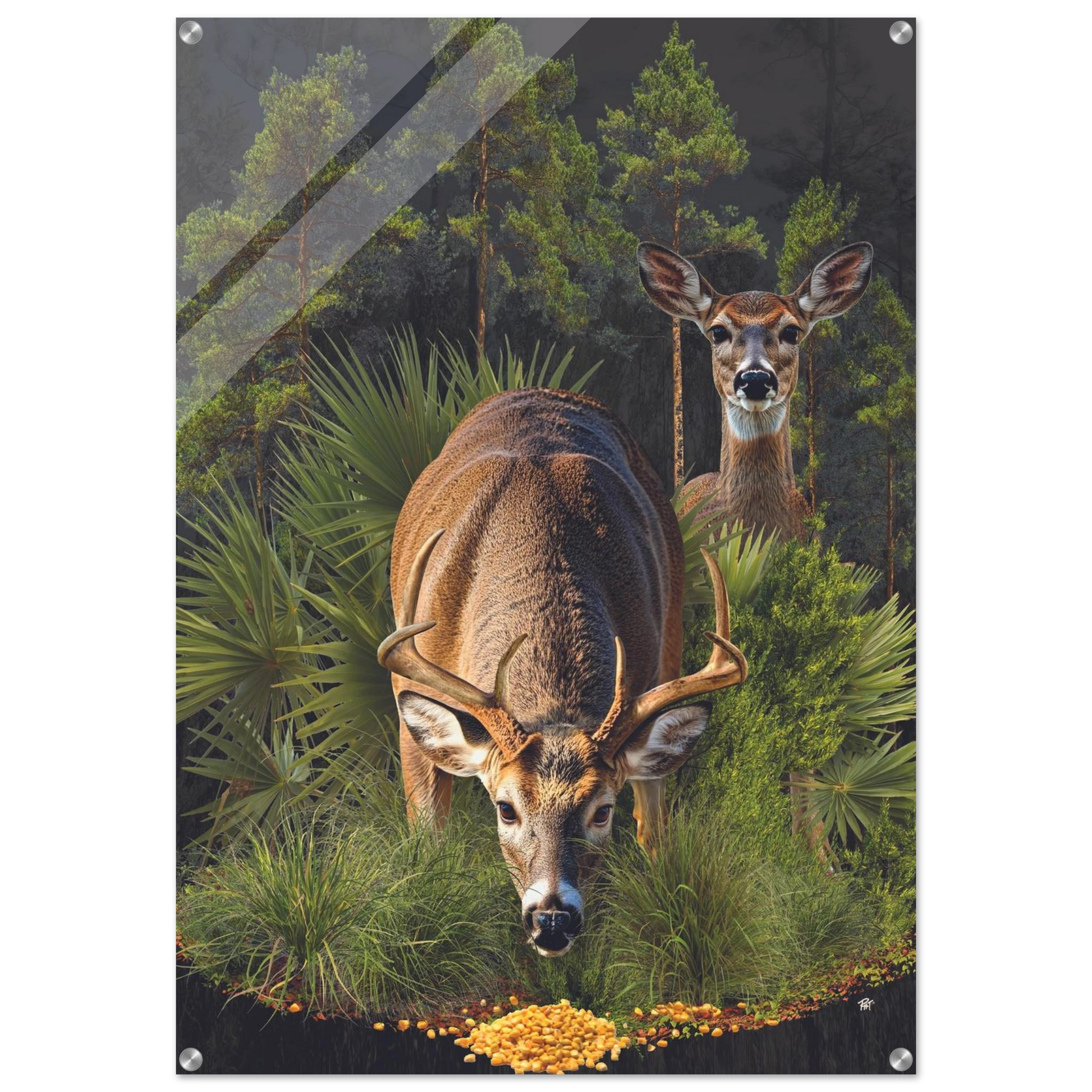 cff644ec-7e03-4f4b-a9fa-97d4a2828230