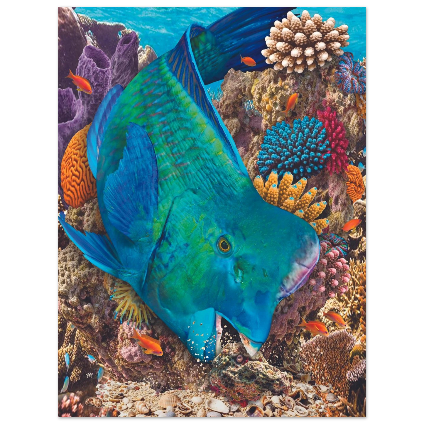 d24510e2-3d7b-40f6-83cc-97b5febba10b