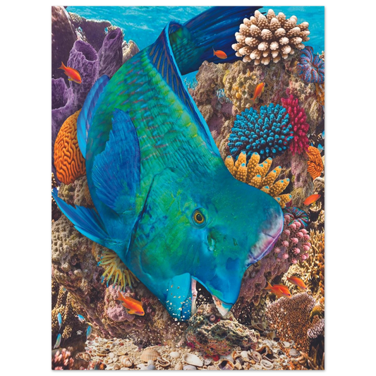 d24510e2-3d7b-40f6-83cc-97b5febba10b