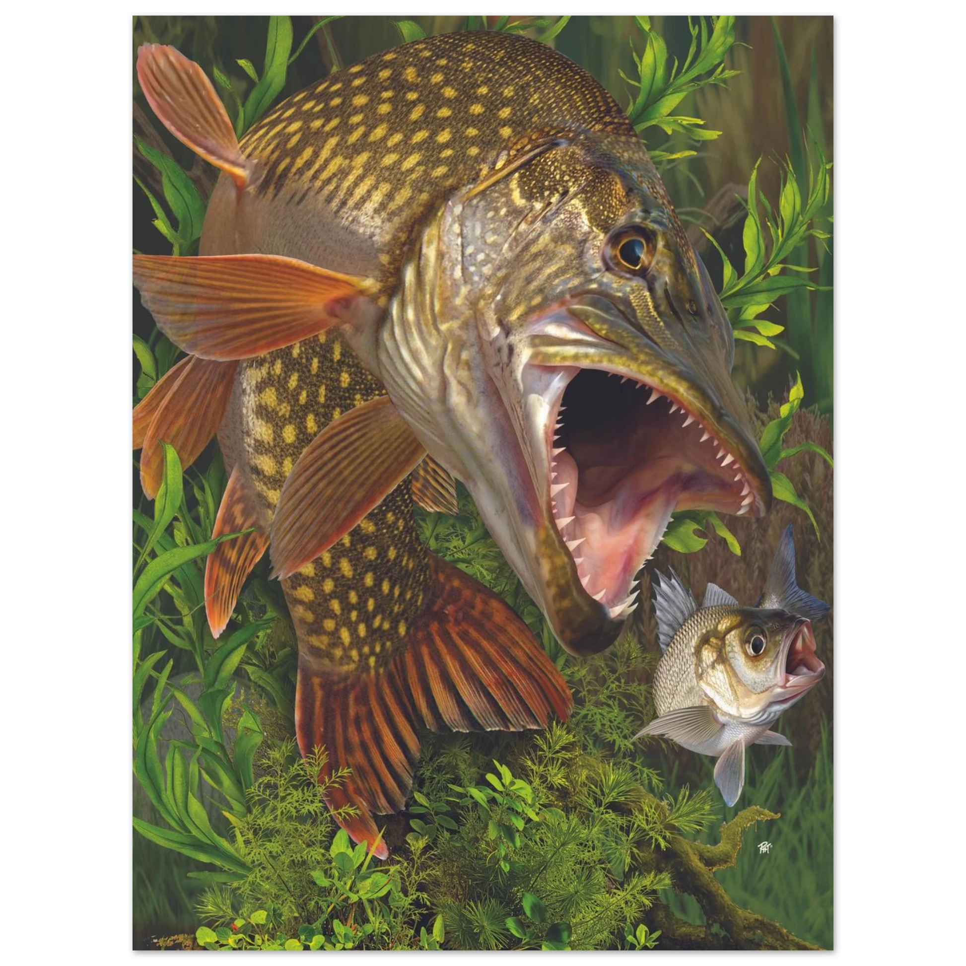 d2670cea-5049-429f-ad1e-a0b42f66dbba