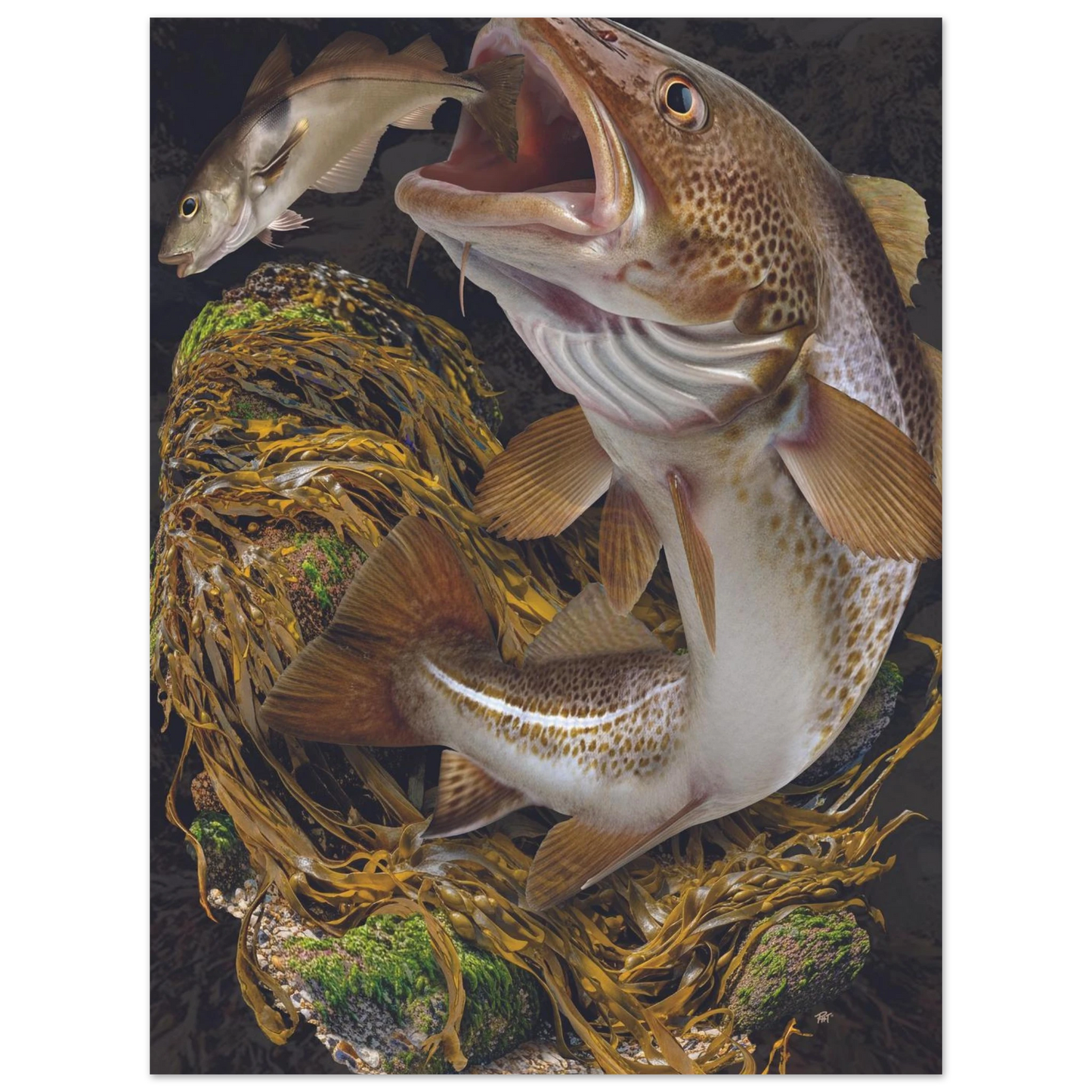 d3b92c88-657d-4222-aba1-b73a37d07cf2