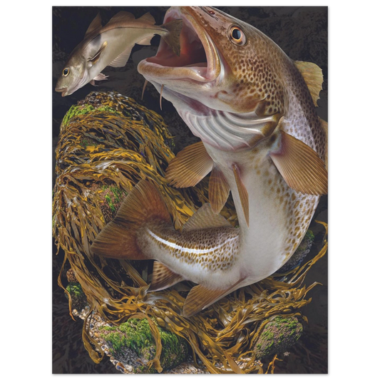 d3b92c88-657d-4222-aba1-b73a37d07cf2