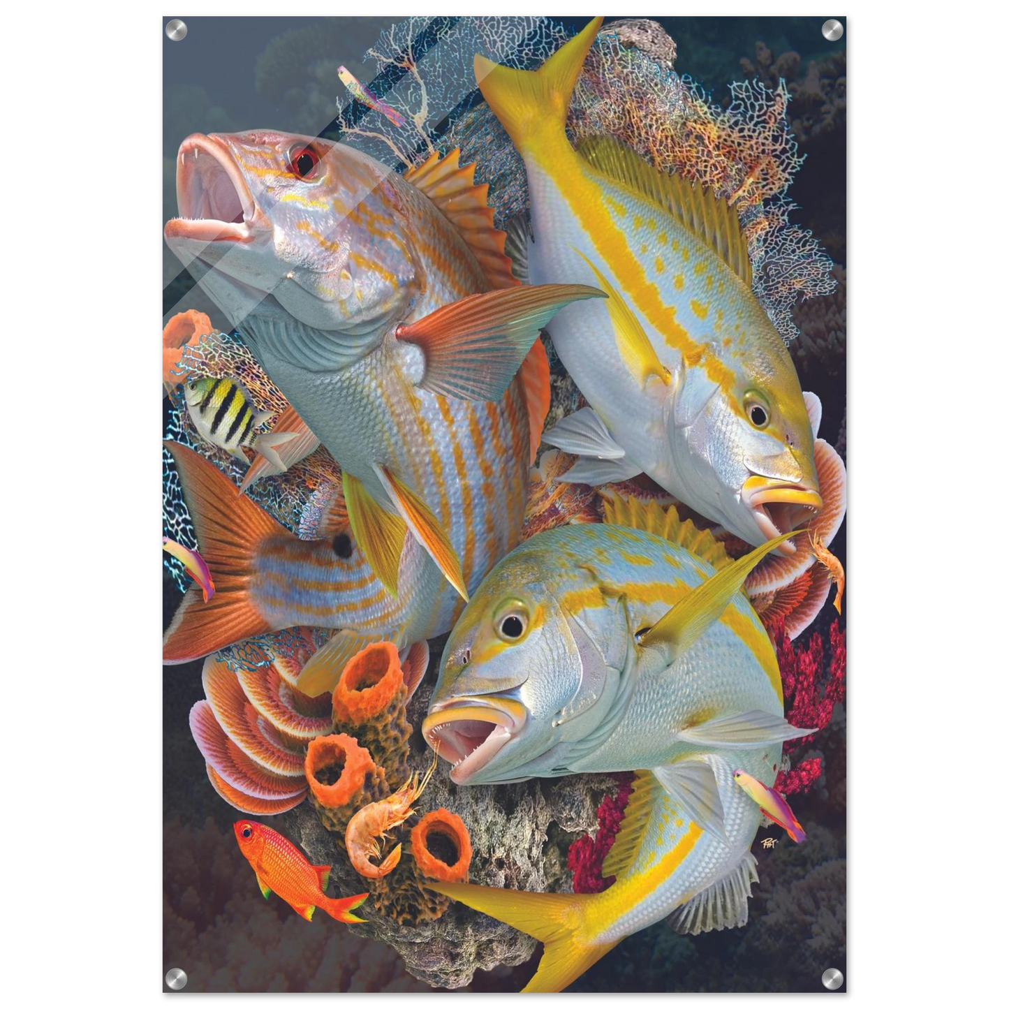 d579f617-6004-4cb2-9e08-07e6078b801d