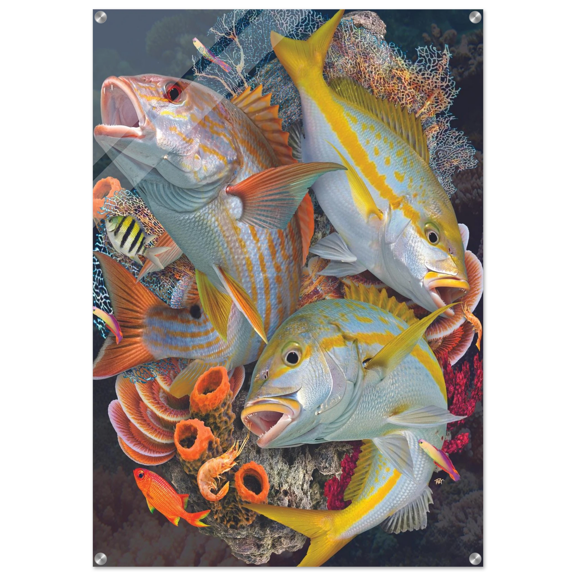 d579f617-6004-4cb2-9e08-07e6078b801d