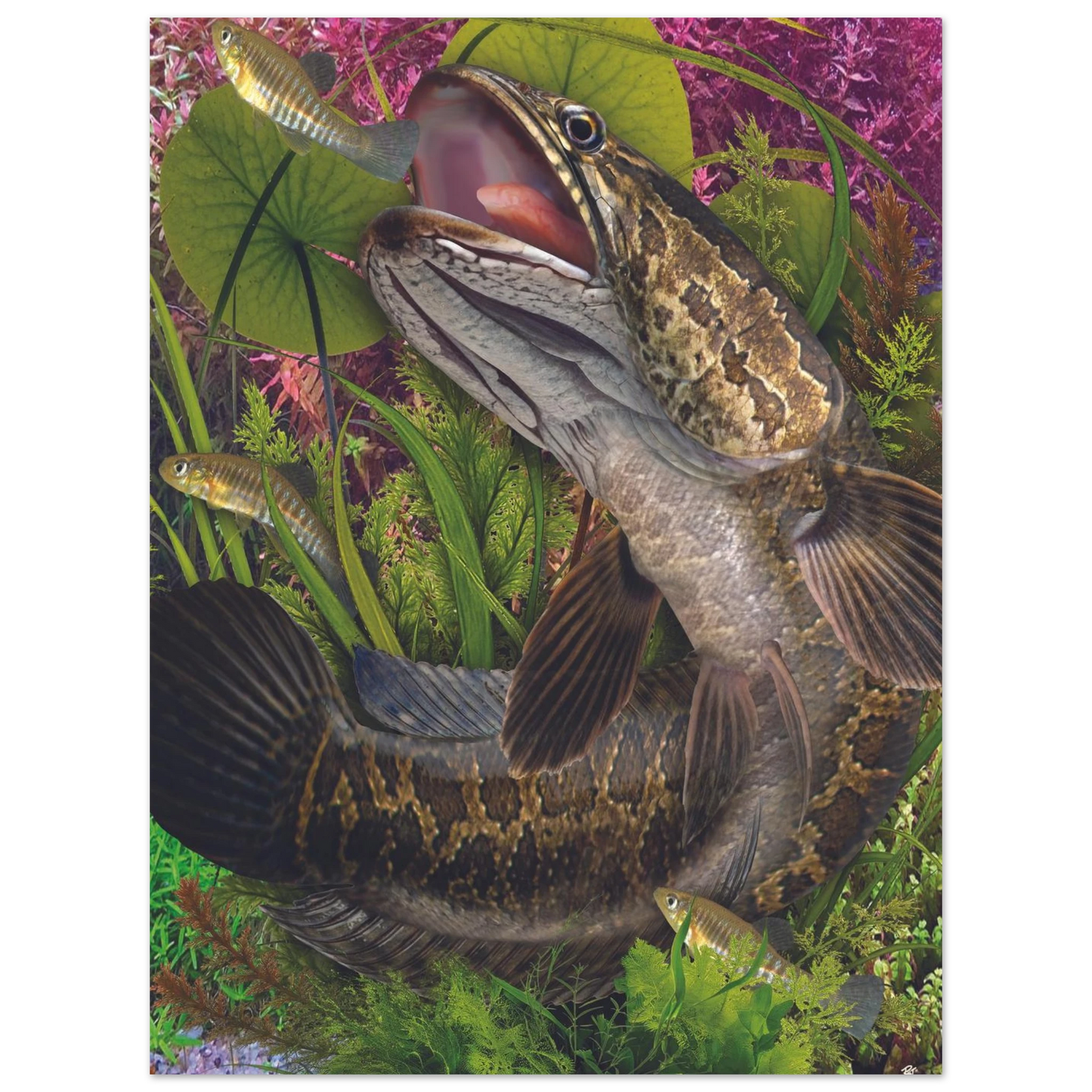 d6d506cd-6d3a-46cb-9e14-176841cd169f