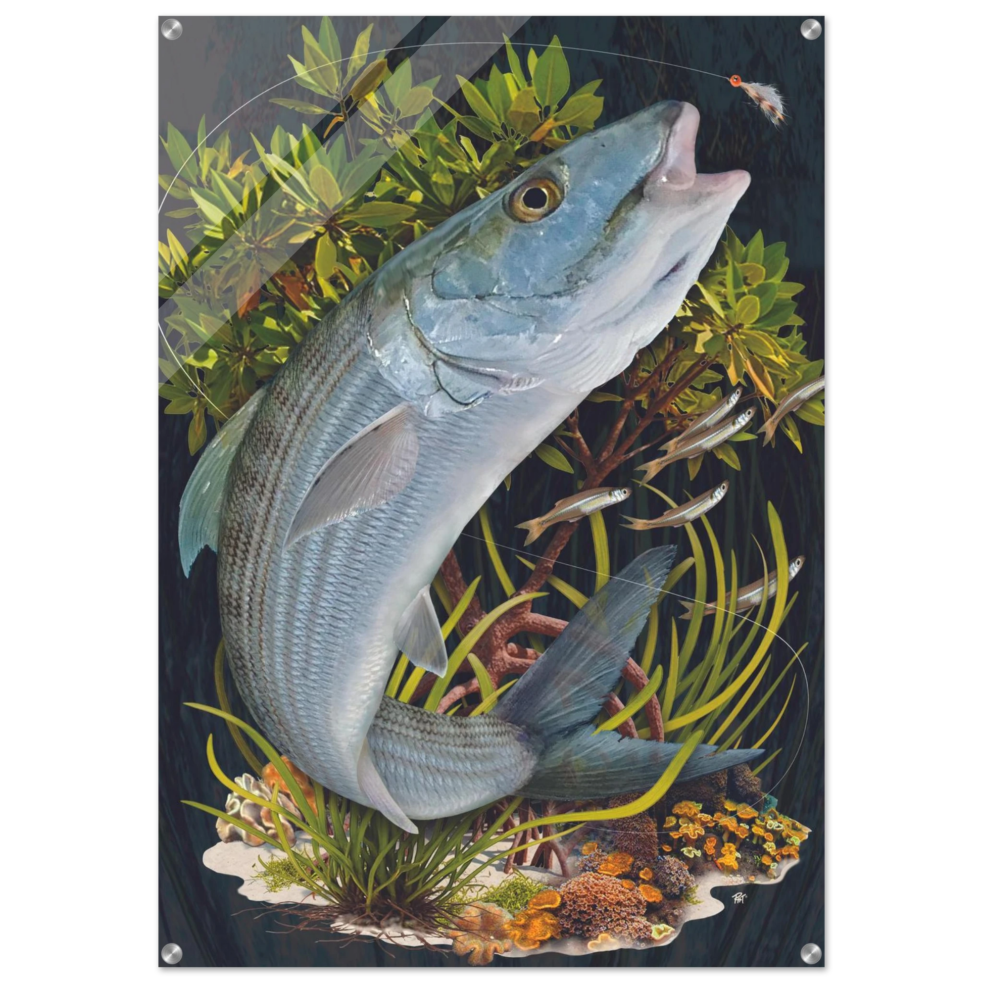 d9b32afd-f751-49bc-ab53-6c44b5209be6