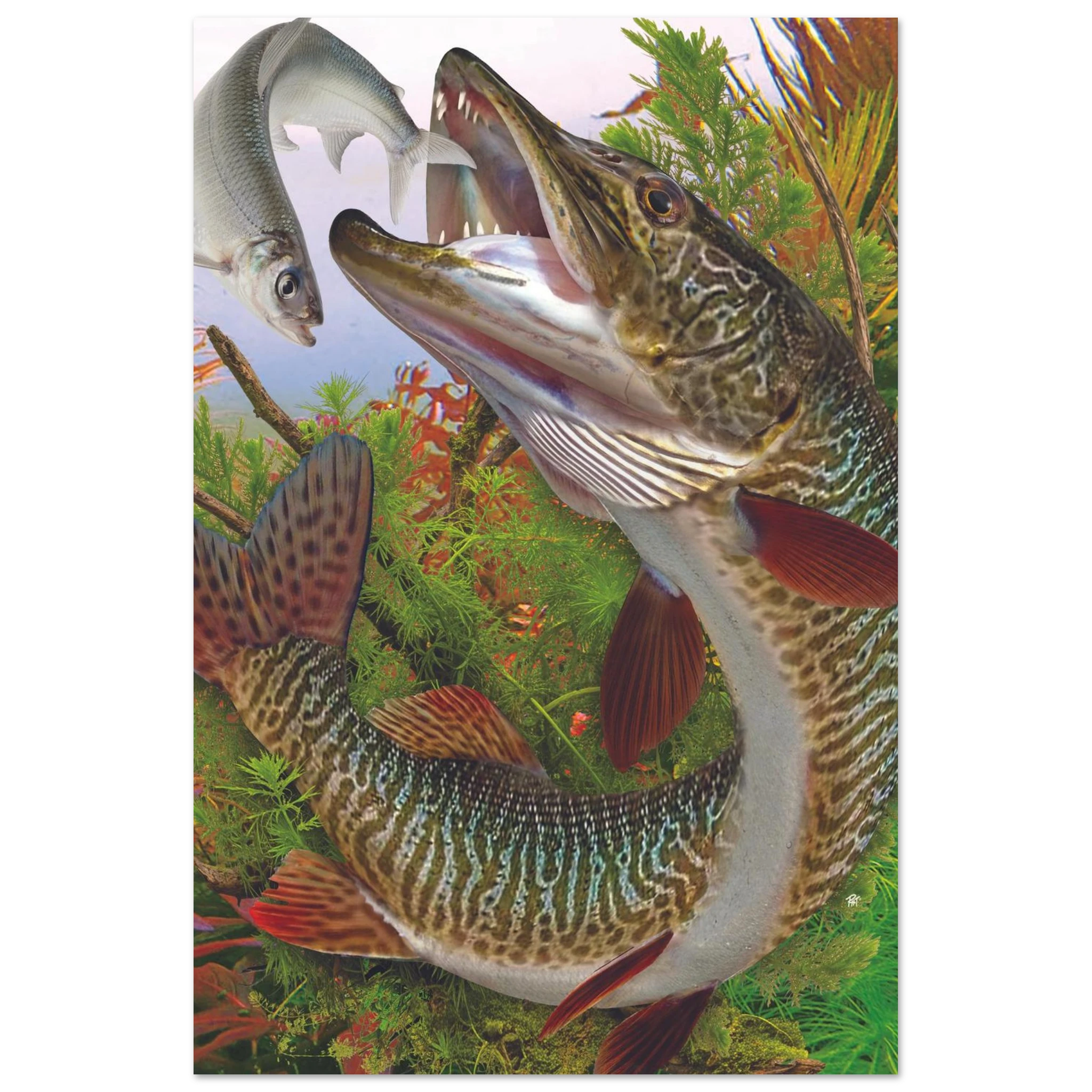 dbbcc77f-dfd3-4aa0-921c-fa33a0548f29