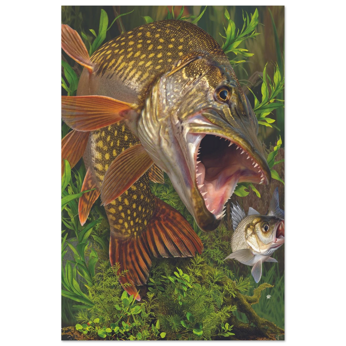 dbe43913-d04a-4d7a-9775-2623ca4e7365