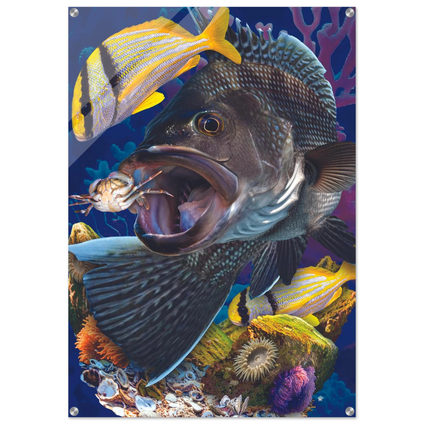 eaeb3cfd-1ca7-4ef7-b96d-c32fb9a46e51