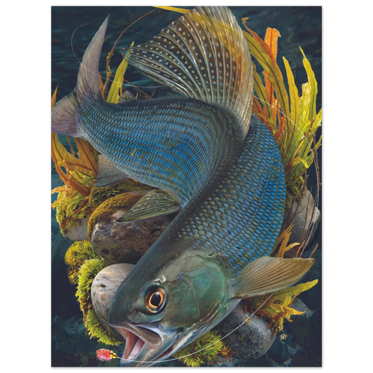 ec8e6d36-a8b1-4f6c-a63c-1315190b660a