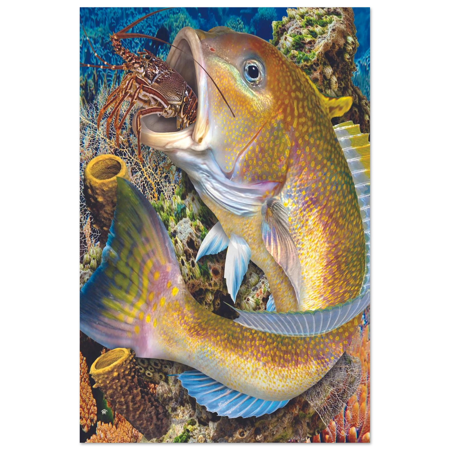 fec47315-c55e-4932-8c62-df0623decbb4